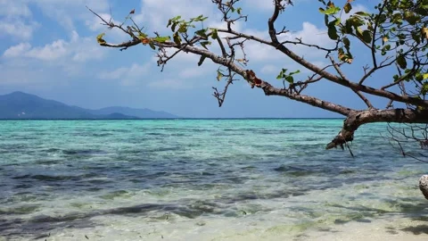 Karimunjawa Island Beach Loop Stock Footage 257672200