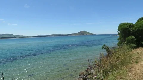 Karitane Beach Stock Footage 120512289