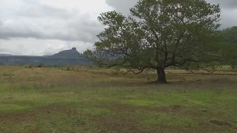 Karjat Stock Footage 132967986