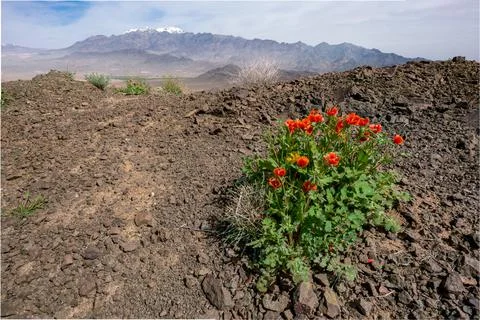 Karkas mountain range rises above desert in Isfahan province of Iran. Village of Stock Photos