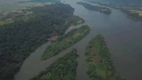 Karli River backwaters flowing through dense forest in Devbag, Malvan Video stock 333190321