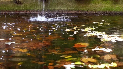 Karlsruhe Stock Footage 111449849