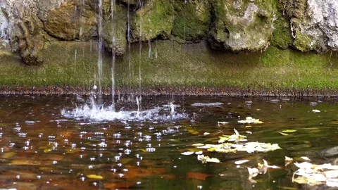 Karlsruhe Stock Footage 111449869