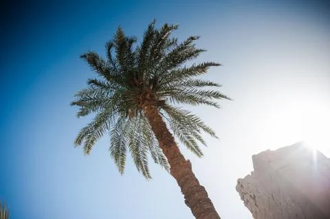 Karnak Temple Complex. Luxor. Egypt. Foto stock