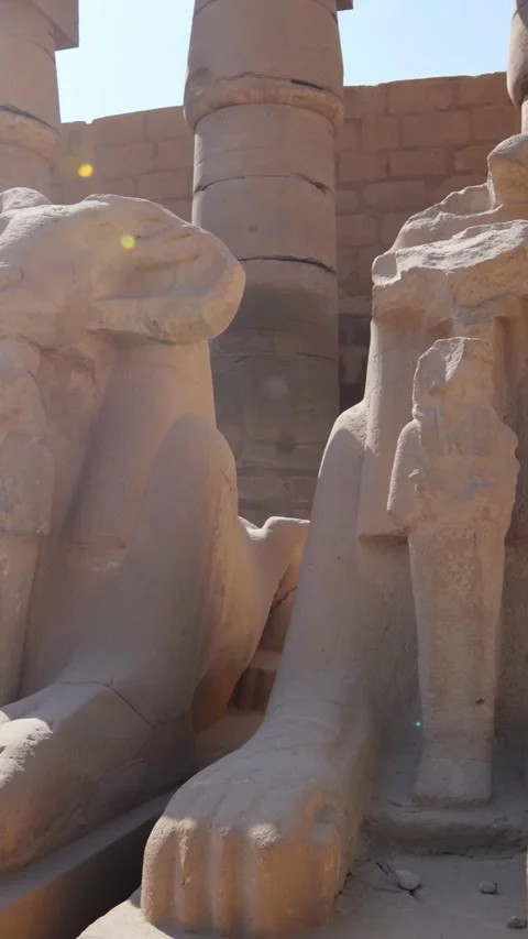 Karnak Temple in Luxor, Egypt. Ram-headed sphinx alley at Karnak Temple. Ancient Stock Footage 337427797