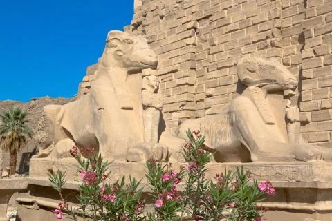 Karnak temple Stock Photos