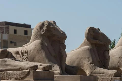 Karnak Temple Stock Photos