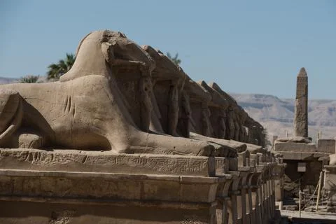 Karnak Temple Stock Photos