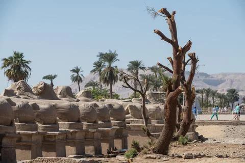 Karnak Temple Foto stock