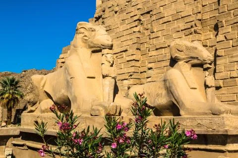 KarnakTemple Stock Photos