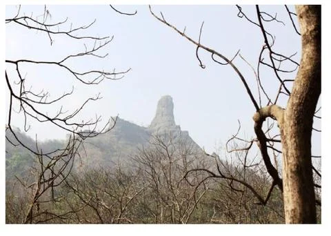 Karnala Forest mountain Foto stock