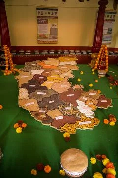 Karnataka map shape on seeds 12th october 2024 mysuru 库存照片