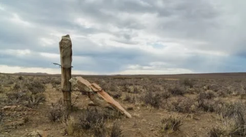 A Karoo farm Stock-Footage 59840147