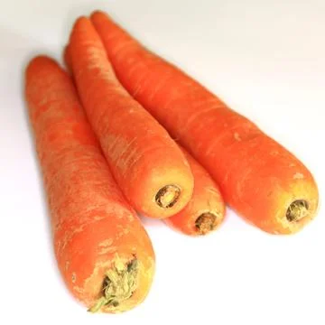 Karotten - Bio Stock Photos
