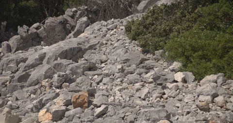 Karst and macchia Stock Footage 111899780