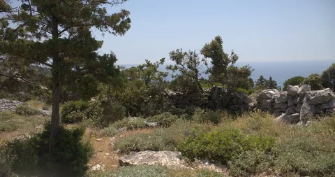 Karst and macchia Stock Footage 111900240