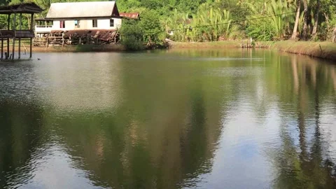 Karst areas (7) Video stock 296526228