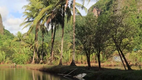 Karst areas (8) Stock Footage 296526232