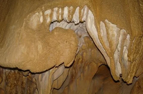 Karst formations in the cave. Stock Photos
