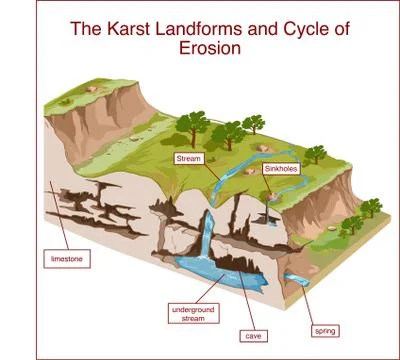 The Karst Landforms and Cycle of Erosion Stock Illustration