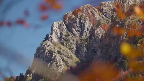 Karst limestone cliffs and pines in Montenegro, autumn rack focus Video stock 329412300