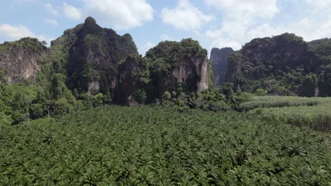 Karst limestone mountain Video stock 195285080