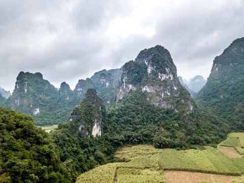 The karst mountains Stock Photos