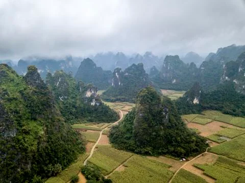 The karst mountains Stock Photos
