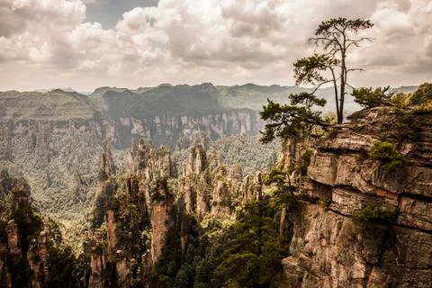 Karst Pillars Stock Photos