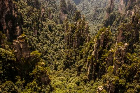 Karst Pillars Stock Photos