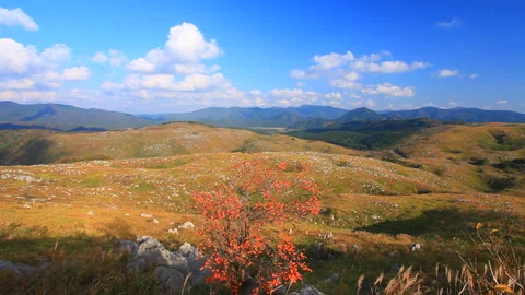 Karst Plateau, Persimmon Trees, Mount Gongen, and the Mountain Range of Mount Stock Footage 330462838