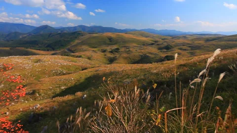 Karst Plateau, Persimmon Trees, Mount Gongen, and the Mountain Range of Mount Stock Footage 330463163