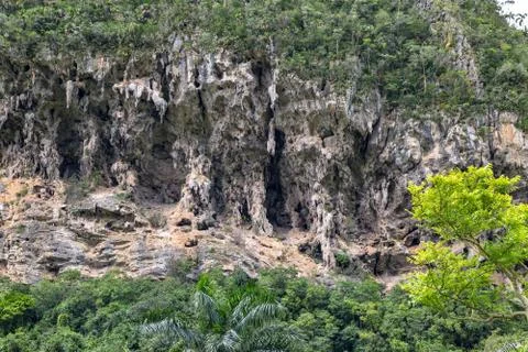 Karst rock formations Stock Photos