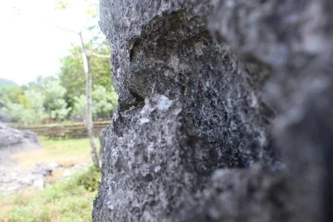 Karst rock Stock Photos
