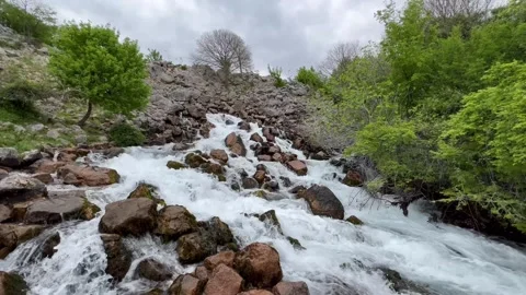 The karst spring of the Krupa River (Velebit Nature Park, Croatia) Stock Footage 297830609