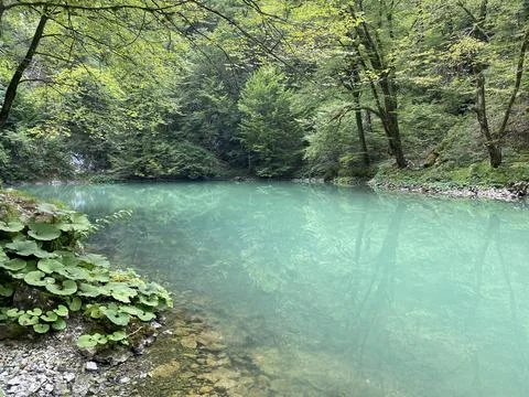 Karst spring of the river Kupa or natural monument source of the river Kupa 스톡 사진