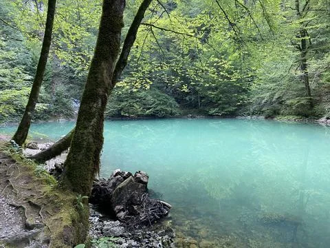 Karst spring of the river Kupa or natural monument source of the river Kupa 스톡 사진