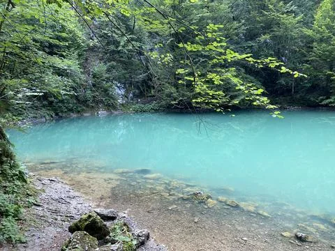 Karst spring of the river Kupa or natural monument source of the river Kupa Foto stock