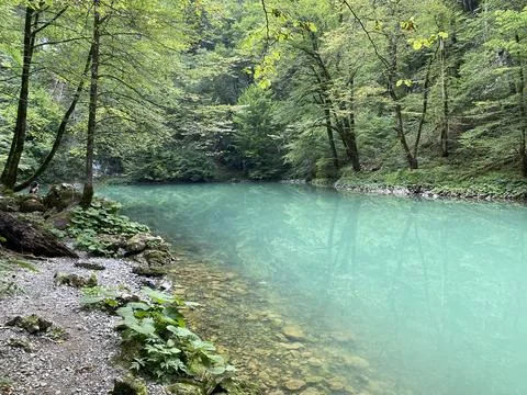 Karst spring of the river Kupa or natural monument source of the river Kupa Foto stock