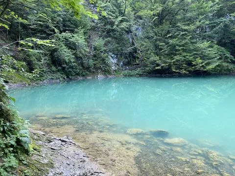 Karst spring of the river Kupa or natural monument source of the river Kupa 스톡 사진
