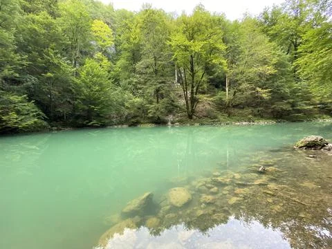 Karst spring of the river Kupa or natural monument source of the river Kupa Foto stock