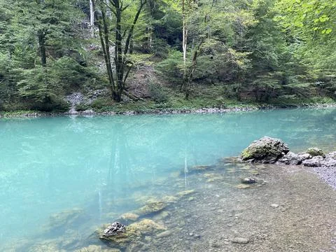 Karst spring of the river Kupa or natural monument source of the river Kupa 스톡 사진