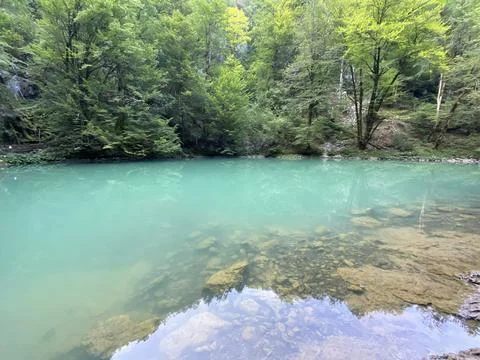 Karst spring of the river Kupa or natural monument source of the river Kupa Foto stock