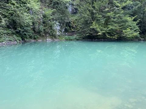 Karst spring of the river Kupa or natural monument source of the river Kupa 스톡 사진