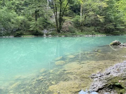 Karst spring of the river Kupa or natural monument source of the river Kupa Foto stock