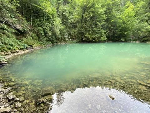 Karst spring of the river Kupa or natural monument source of the river Kupa 스톡 사진