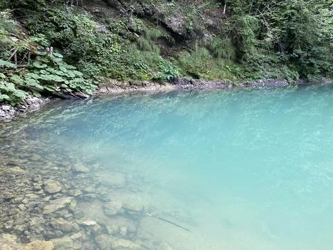 Karst spring of the river Kupa or natural monument source of the river Kupa 스톡 사진