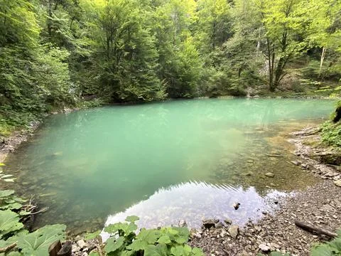 Karst spring of the river Kupa or natural monument source of the river Kupa Foto stock