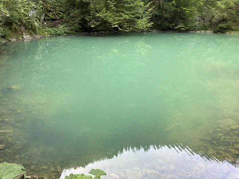 Karst spring of the river Kupa or natural monument source of the river Kupa 스톡 사진
