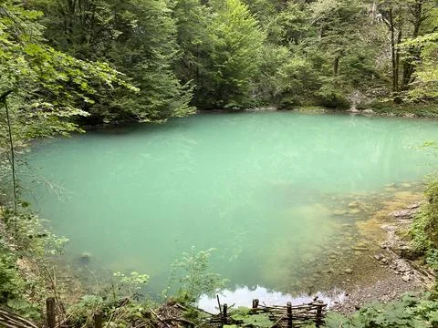 Karst spring of the river Kupa or natural monument source of the river Kupa Foto stock